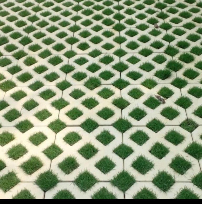 Manfaat Grass Block: Solusi Ramah Lingkungan untuk Permukaan Lahan